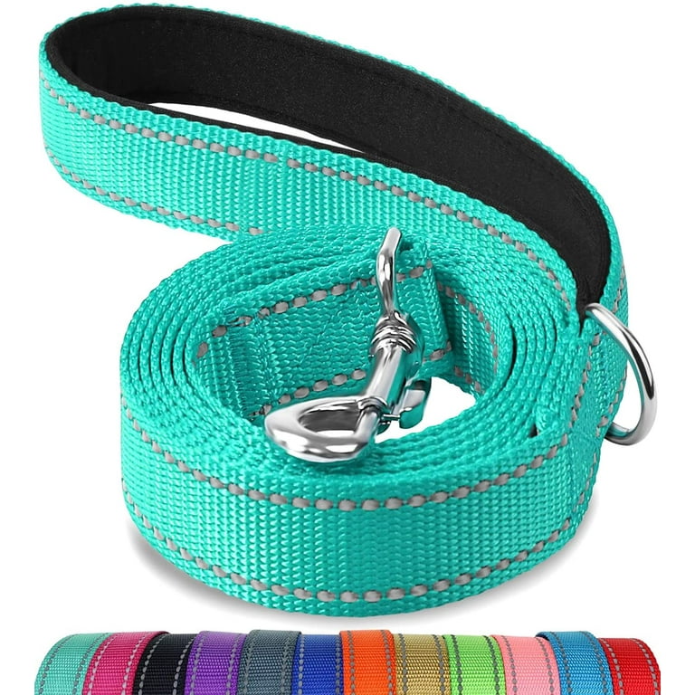 Double-sided Reflective Dog Leash, 6 Ft/5 Ft/4 FT, Padded Handle Nylon Dogs Leashes for Medium & Large Dogs Walking, Teal, 4FT