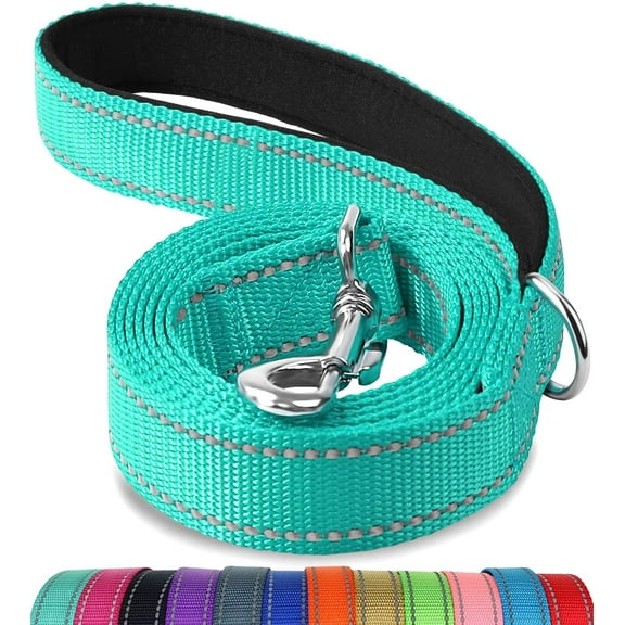 Double-Sided Reflective Dog Leash,,Padded Handle Nylon Dogs Leashes for Small & Medium Dogs Walking, Teal, 6FT x 1IN