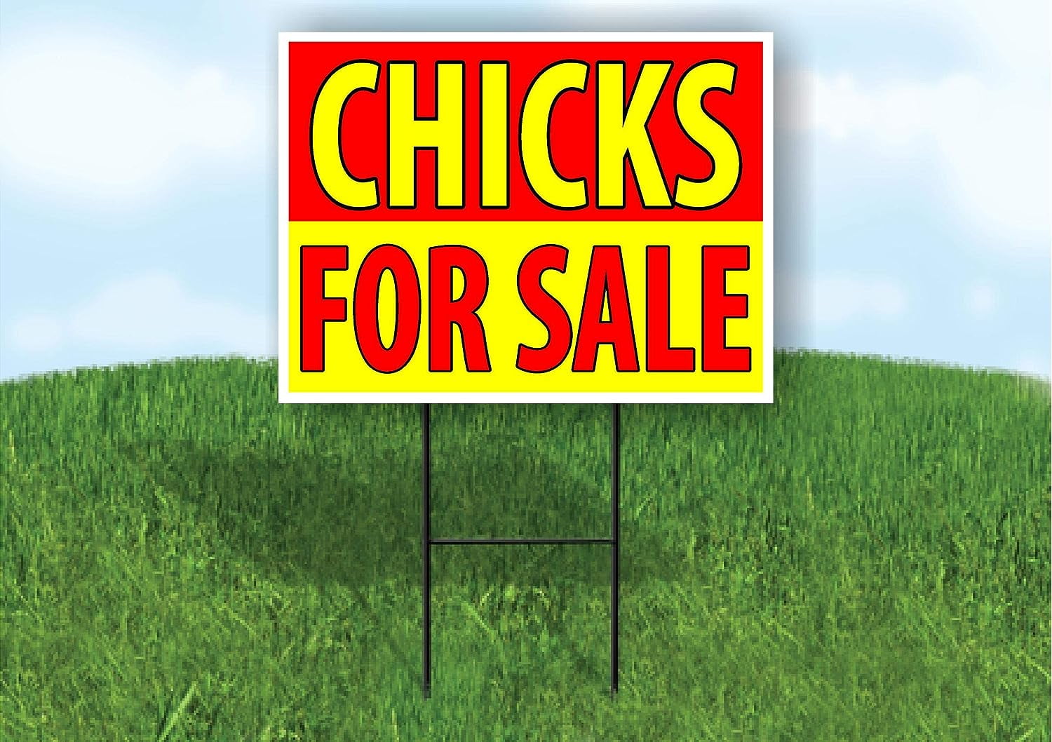 Double Sided Sign CHICKS FOR SALE RED YELLOW Yard Sign ROAD SIGN with Stand