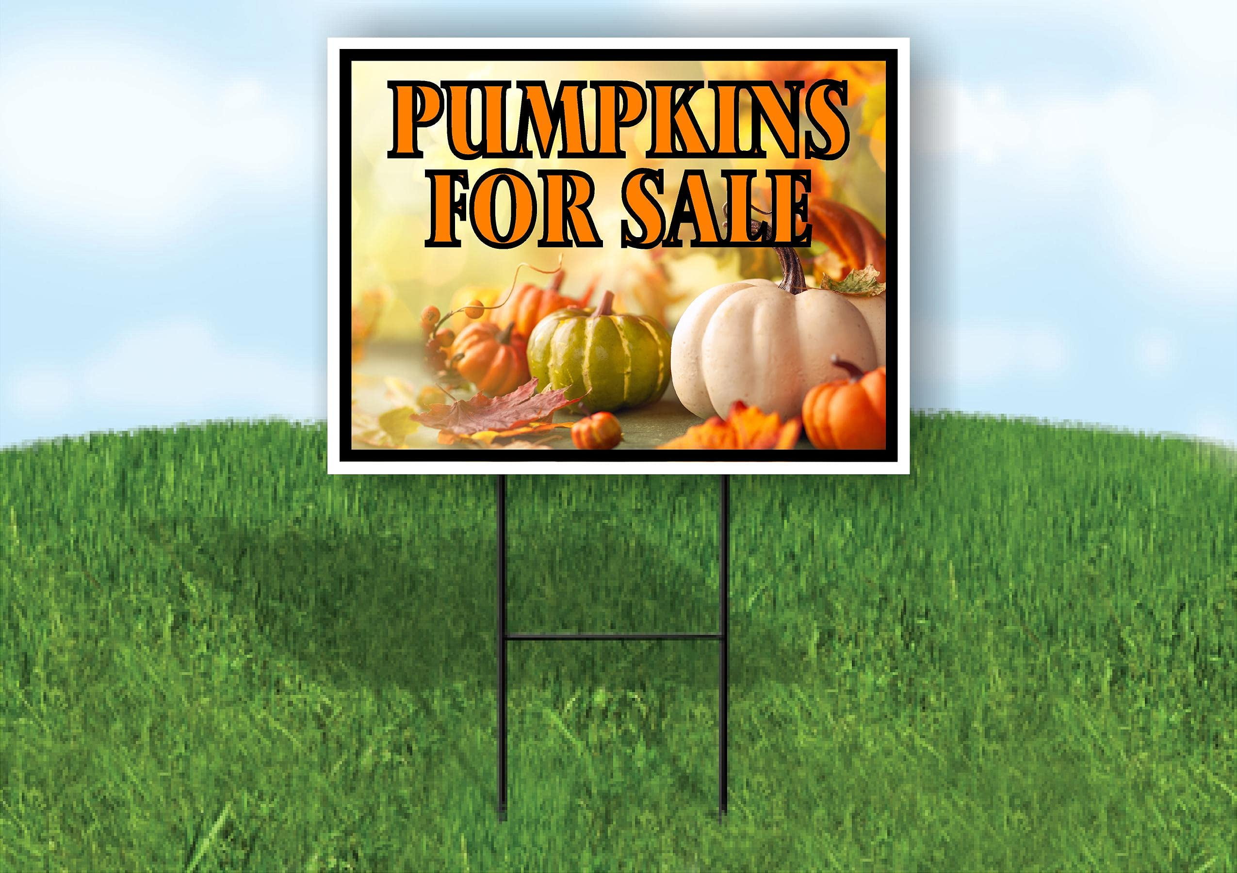 Double Sided Sign PUMPKINS FOR SALE PHOTO Yard Sign ROAD SIGN with Stand