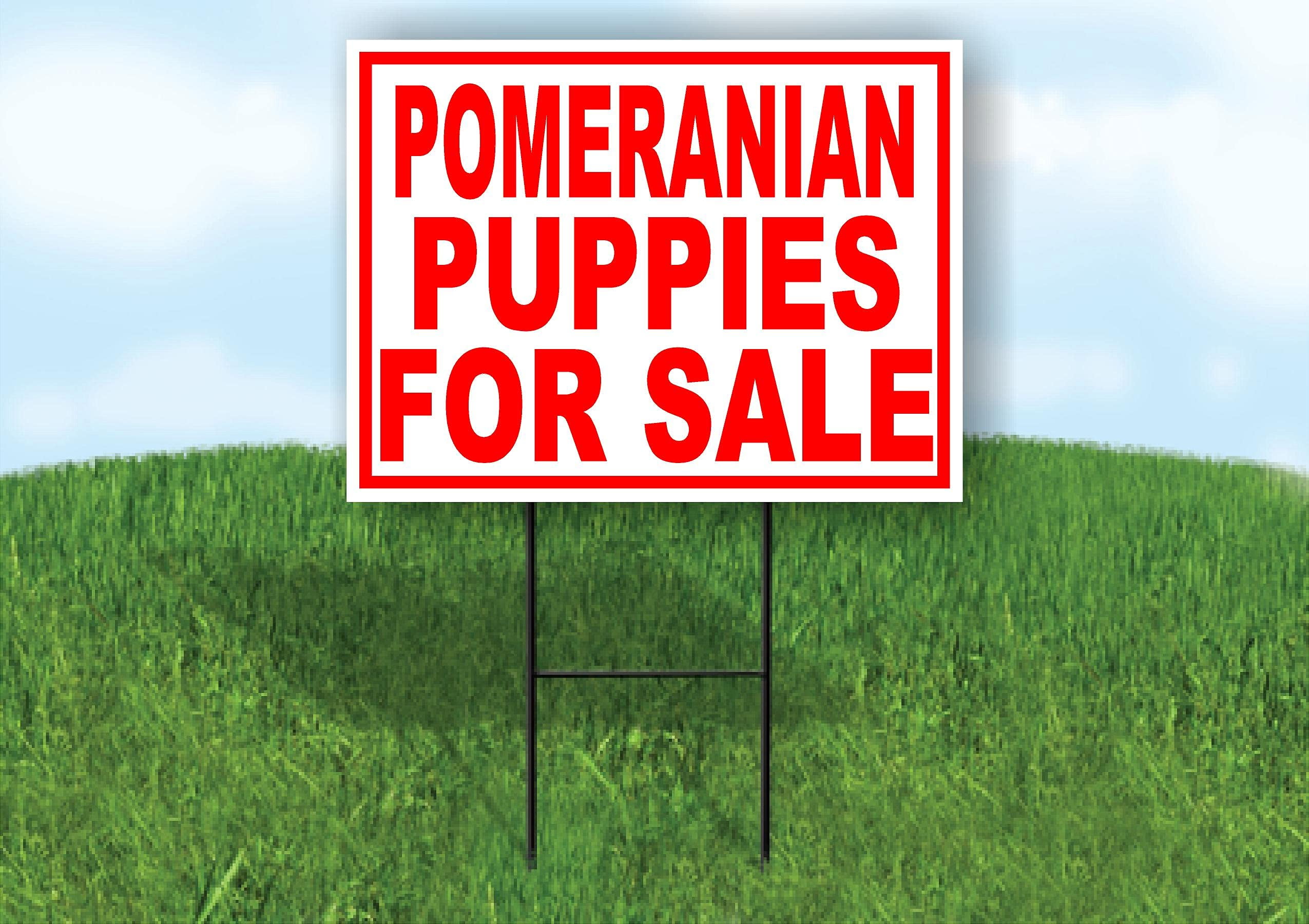 Double Sided Sign Pomeranian PUPPIES FOR SALE RED Yard Sign ROAD SIGN with Stand