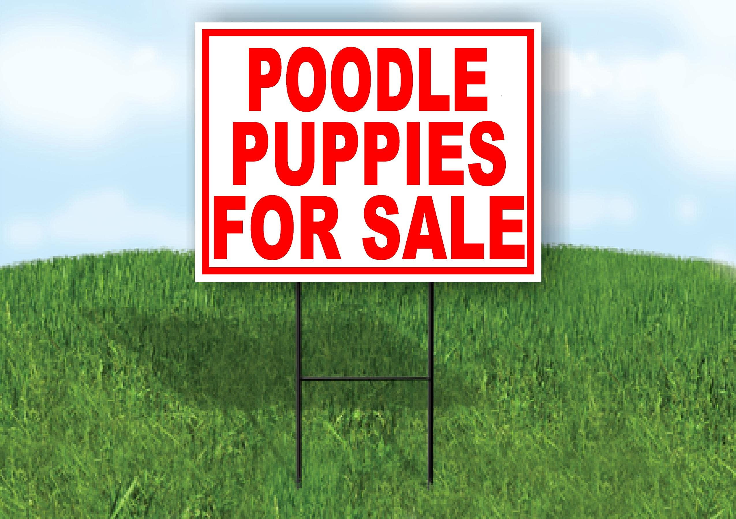 Double Sided Sign Poodle PUPPIES FOR SALE RED Yard Sign ROAD SIGN with Stand