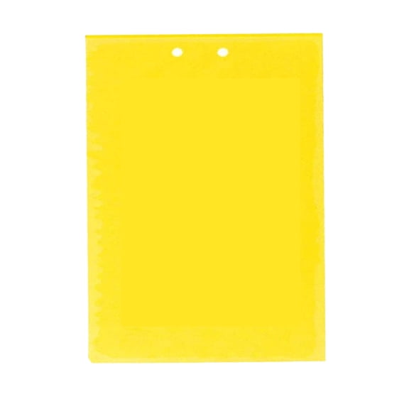 Double Sided Sticky Insect Trap Board PVC 15x20cm Large Surface Area Adhesive Paper for Indoor and Outdoor Use Pest Management No Color Mention