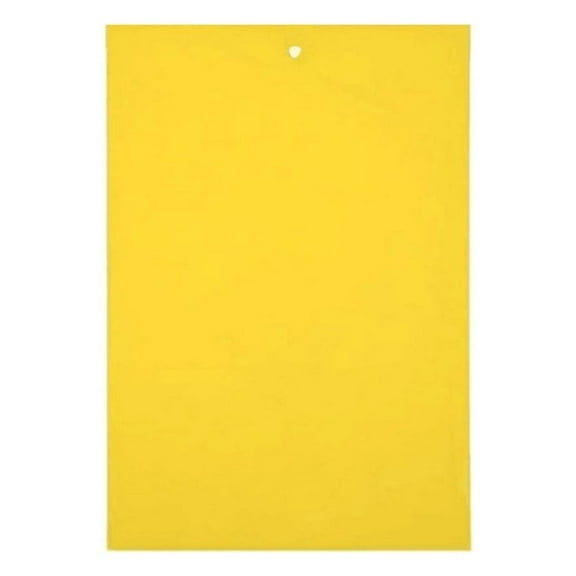 Double Sided Sticky Insect Trap Board Pack for Agricultural Vegetable and Flower Pest Control 10/20/30PCS Strong Adhesive Paper Sheets