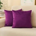 thumbnail image 1 of Double-Sided Velvet Pillowcase Square Pillowcase Home Sofa Decorative Cushion Cover, 1 of 10