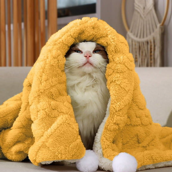 Double-Sided Wool Pet Blanket, Reversible Thermal Dog Cat Bed Mats with Non-Static Designed, Breathable Soft Warm Bedding for Crate and Sofa, 39.37x30.71in