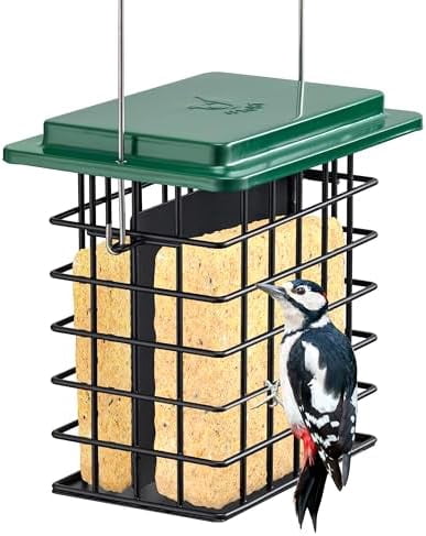 Double Suet Feeder- Metal Roof Bird Feeder with Taller Grid for Woodpeckers, Suet Cake Cage Bird Feeder for Outdoors Hanging,Easy-Clean & Refill,Green (1 Pack)