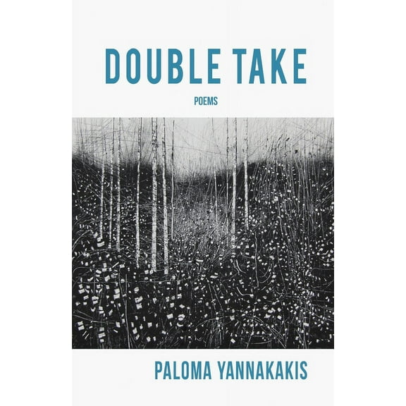 Double Take (Paperback)