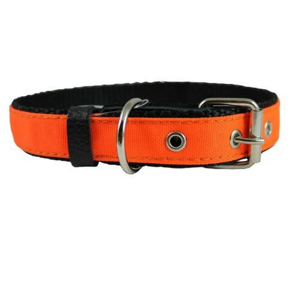 Double Thick Nylon Dog Collar Leather Enforced Metal Buckle Sized to Fit 14"-17" Neck, 1" Wide.