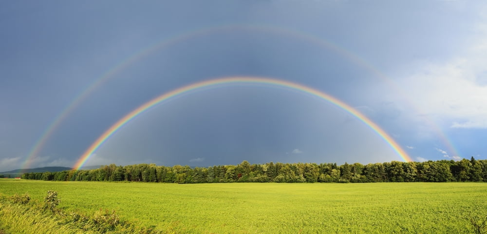 Double rainbow over trees and lush green field Quebec Canada Canvas Art - Yves Marcoux Design Pics (44 x 20)