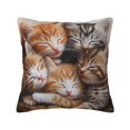 Double sided plush pillowcase Cute Cats Decorative Throw Pillow Cover