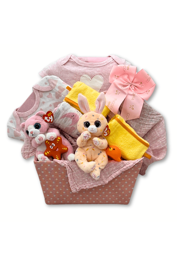 Double the Fun Twin Girls Gift Basket