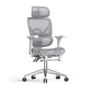 Doubleslee Ergonomic Office Chair, High Back Mesh Office Chairs with Adjustable Headrest, Lumbar Support, 3D Armrest and Footrest