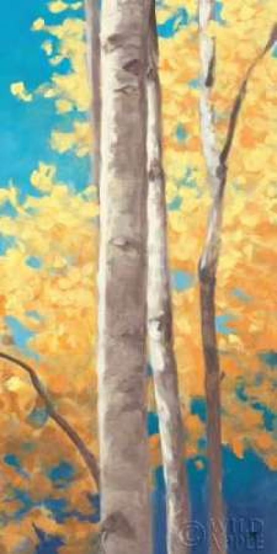 Doubloons Panel II Canvas Art - Julia Purinton (10 x 20)