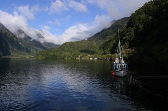 Doubtful Sound South Island New Zealand Canvas Art - Douglas Peebles DanitaDelimont (30 x 20)
