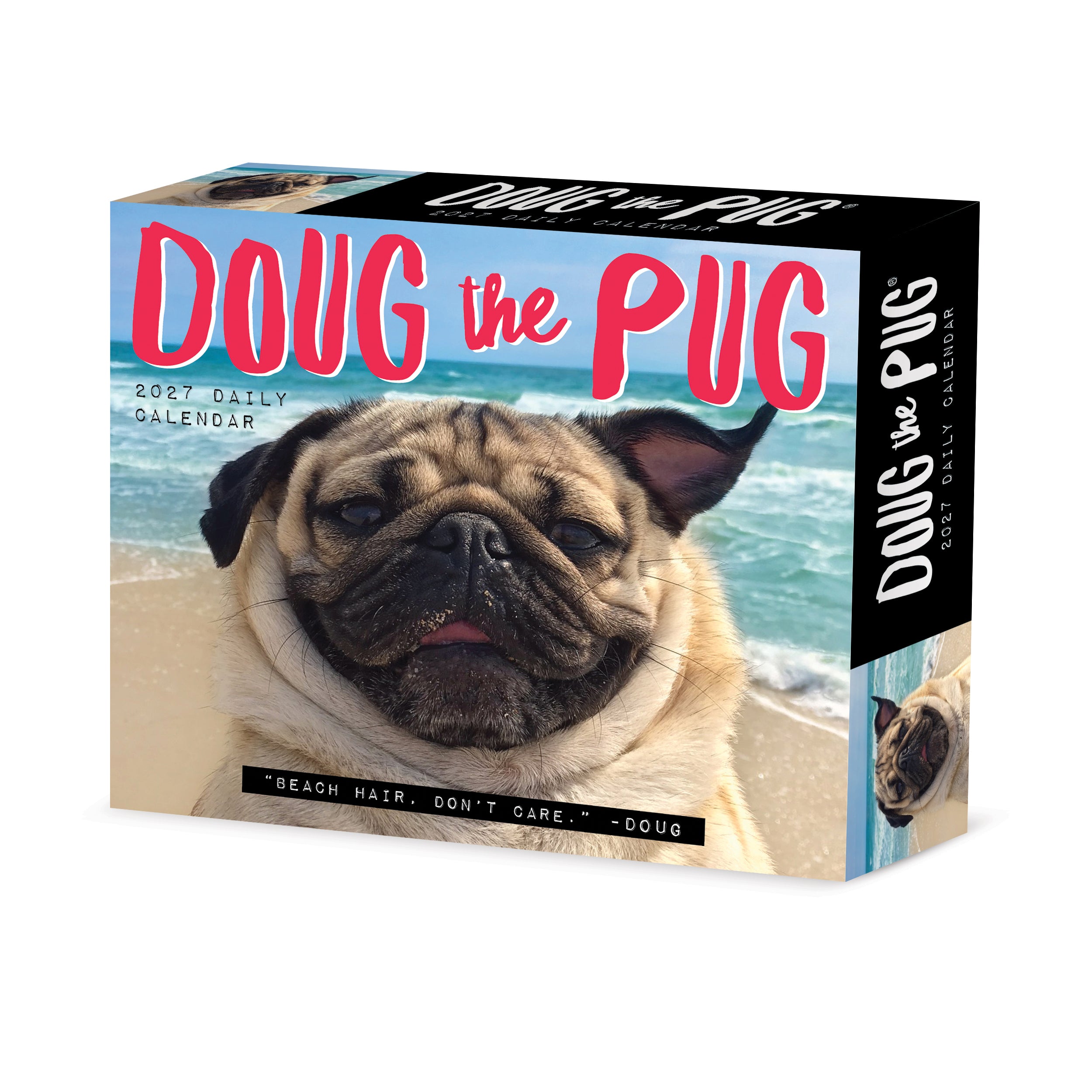 Willow Creek Press, Doug the Pug 2027 Box Calendar-USA