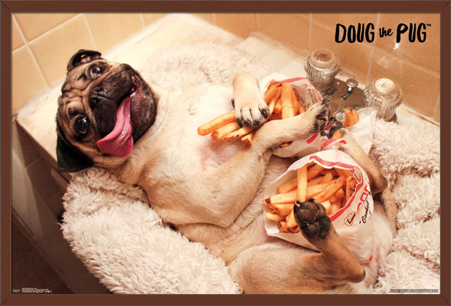 Doug the pug food cheap