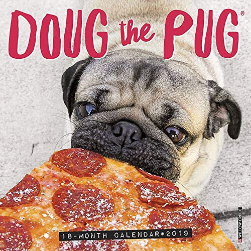 Pre-Owned Doug the Pug Mini 2019 Wall Calendar (Dog Breed Calendar) Paperback
