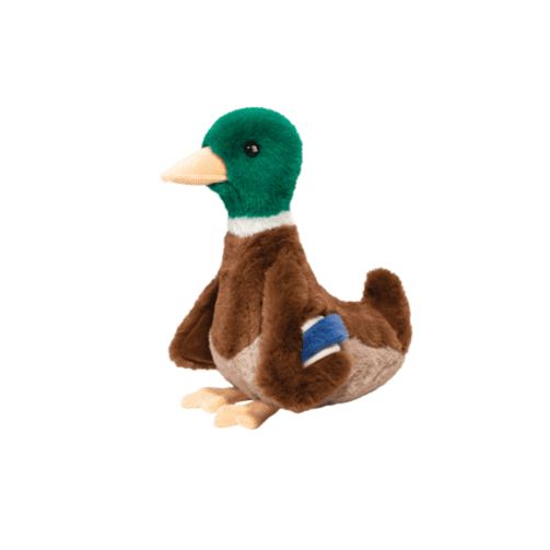 Douglas Desie Mallard Duck