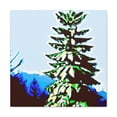 thumbnail image 1 of Douglas Fir Pop Art - Canvas, 1 of 10