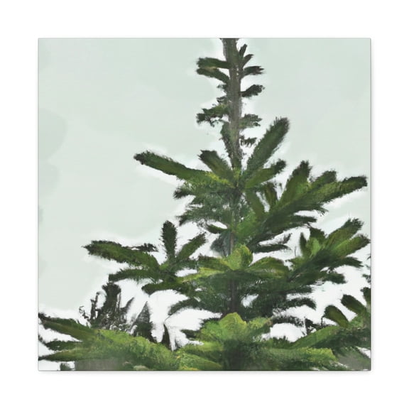 Douglas Fir Solitude. - Canvas