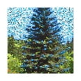thumbnail image 1 of Douglas Fir Splendor - Canvas, 1 of 5