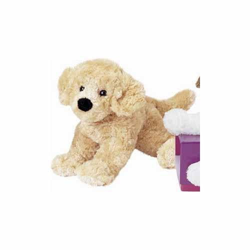 Douglas Troy Golden Retriever