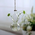 thumbnail image 1 of Douhoow Home Planters Clear Glass Flower Plant Stand Hanging Vase Ball Terrarium Container, 1 of 4