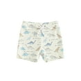 thumbnail image 1 of Douhoow Kids Boys Swim Trunks 6 12 18 Months 2 3 Years Toddler Plaid Print Elastic Drawstring Board Shorts Summer Dinosaur Swim Shorts, 1 of 9
