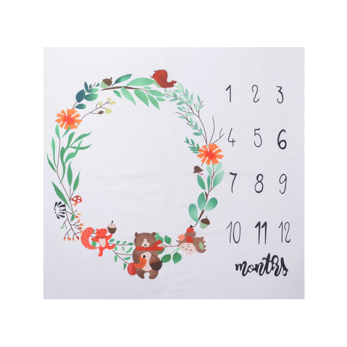 Douhoow Newborn Baby Photography Background Cloth Month Milestone ...