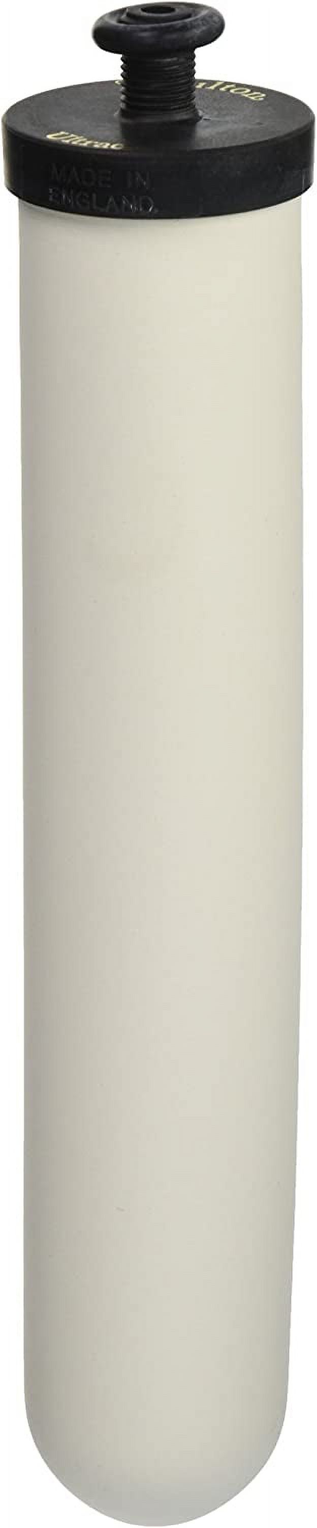 Doulton Ultracarb 10" Water Filter Candle, 2-pack (W9123053)