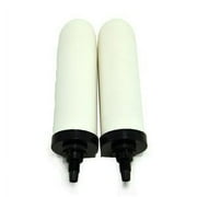 Doulton W9121200 7 Super Sterasyl Ceramic Filter Candle - Pack of 2