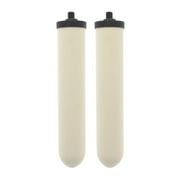 Doulton W9123053 UltraCarb 10 Inch Ceramic Candle Filter Cartridge 2 PACK
