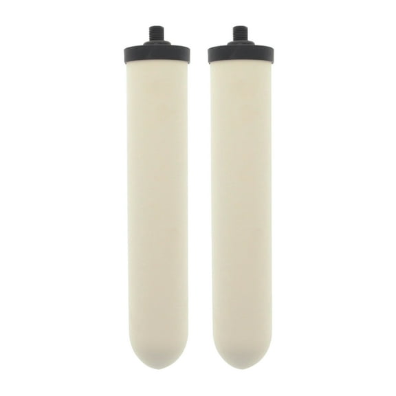 Doulton W9123053 UltraCarb 10 Inch Ceramic Candle Filter Cartridge (2 PACK)