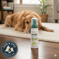 thumbnail image 1 of Douxo S3 SEB Mousse 5.1 oz (150 mL) - Relief for Seborrhea in Dogs and Cats (Helps with Oily to Flaky Skin), 1 of 5