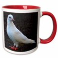 thumbnail image 1 of 3drose, Dove, 11oz Two-tone Red Mug, 1 of 6
