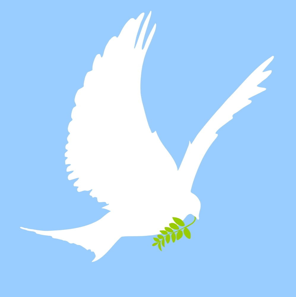 Dove And Olive Branch Canvas Art - Colette Scharf Design Pics (24 x 24)
