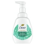 Dove, Nourishing Foaming Hand Wash, Aloe & Eucalyptus, 10.1 fl oz (300 ml)