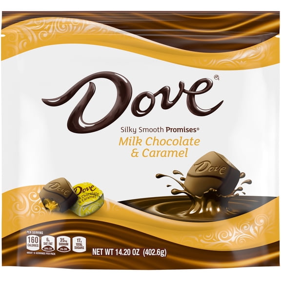 Dove Promises Milk Chocolate Caramel Candy - 14.2 oz Bag