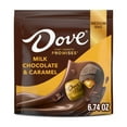 thumbnail image 1 of Dove Promises Milk Chocolate & Caramel Candy - 6.74 oz Bag, 1 of 14