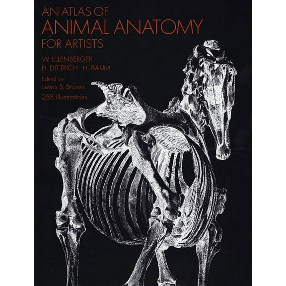 Dover Anatomy for Artists An Atlas of Animal Anatomy for Artists, (Paperback)