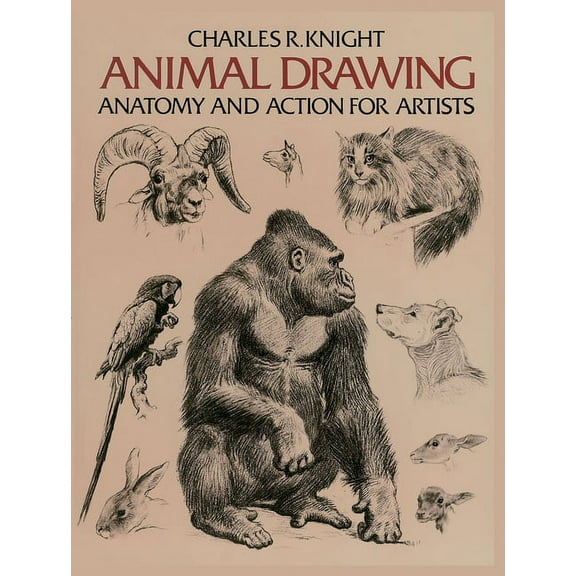 Dover Anatomy for Artists: Animal Drawing : Anatomy and Action for Artists (Paperback)