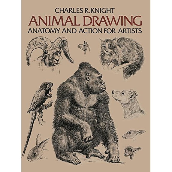 Pre-Owned Animal Drawing : Anatomy and Action for Artists (Paperback) 9780486204260