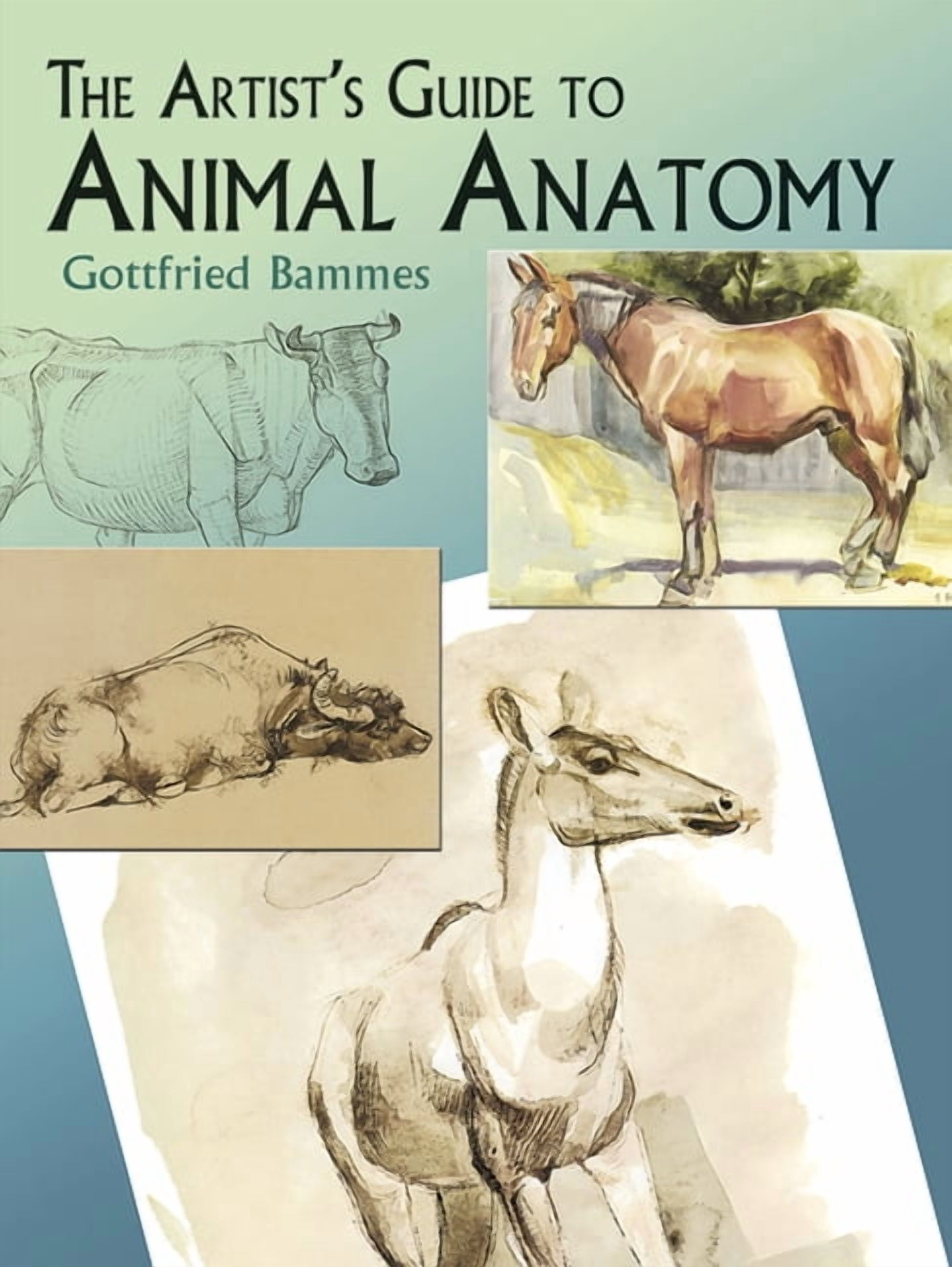 Dover Anatomy for Artists The Artist's Guide to Animal Anatomy