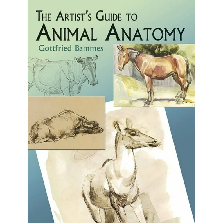 Dover Anatomy for Artists: The Artist's Guide to Animal Anatomy