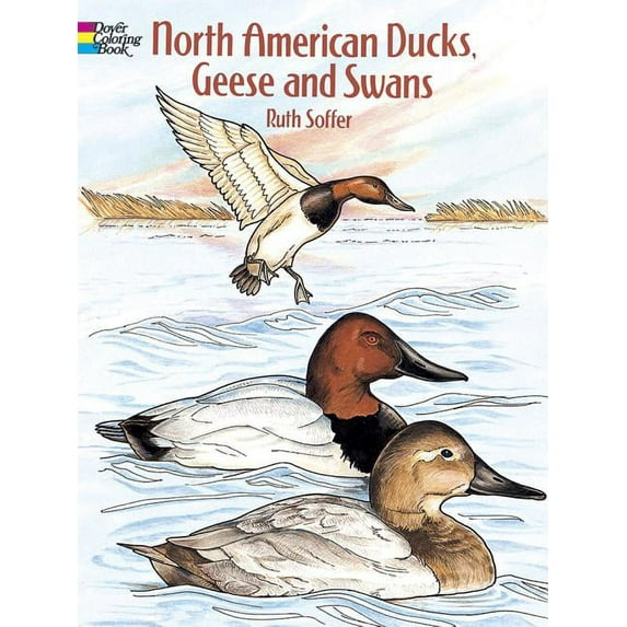 Dover Animal Coloring Books North American Ducks, Geese and Swans Coloring Book, (Paperback)