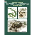 thumbnail image 1 of Pre-Owned Reptiles and Amphibians Coloring Book (Paperback) 0486241114 9780486241111, 1 of 1