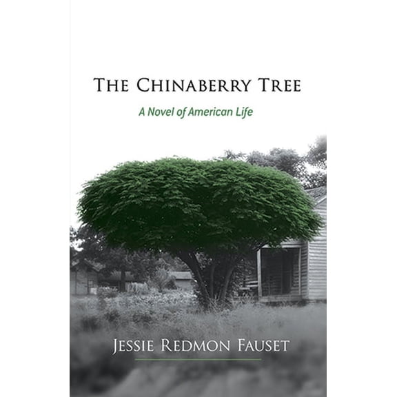 Dover Literature: African American The Chinaberry Tree: A Novel of American Life, (Paperback)