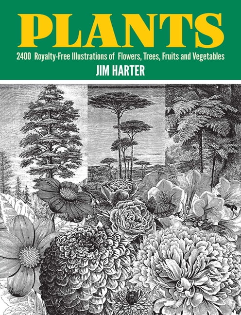 Victorian-Era Plant Illustrations Paperback Book