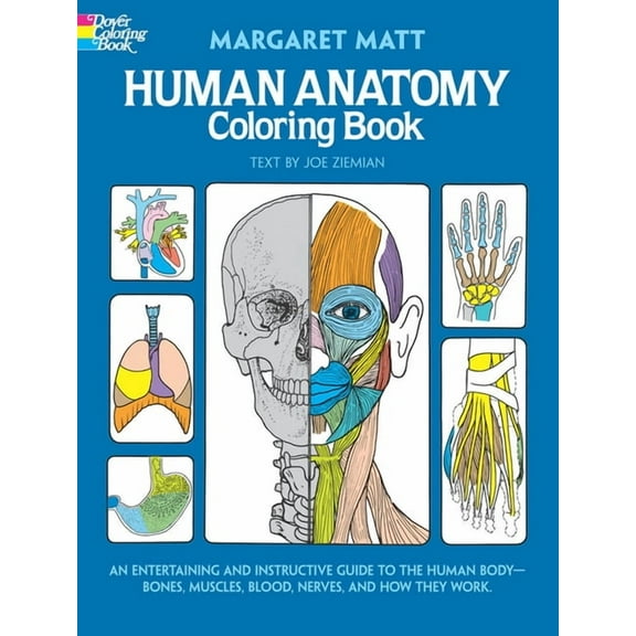 Dover Science for Kid's Coloring Books: Human Anatomy Coloring Book, (Paperback), English, 8.22" x 0.21" x 10.90"